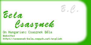 bela csasznek business card