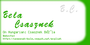 bela csasznek business card